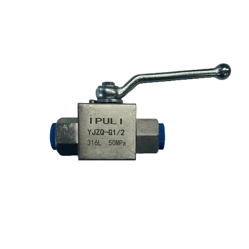  316L 50MPA G1/2