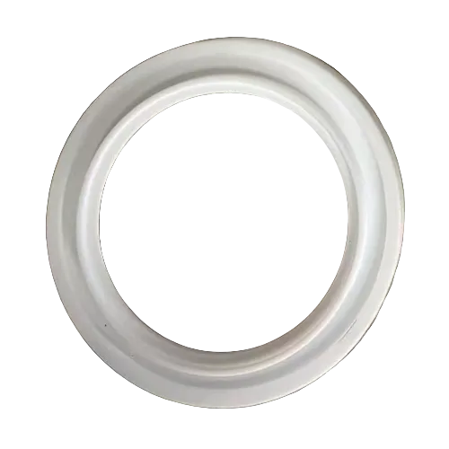 Valve Seat Ring DN100 PTFE F-4